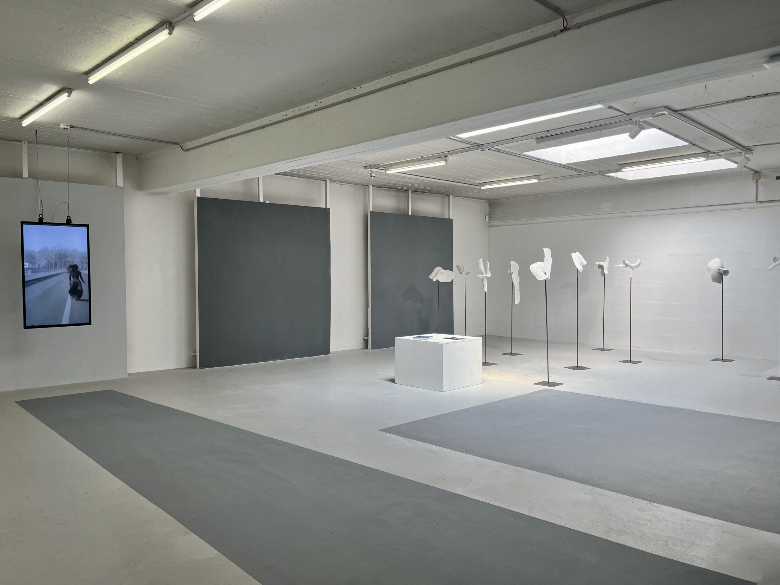 Ausstellungsansicht: Heldinnen